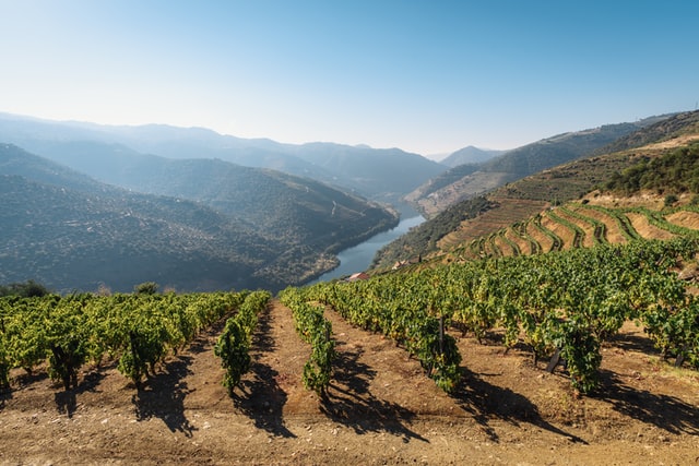 Find Out About Agritourism in Portugal